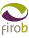 FIRO-B 组织解释报告中文（简体）在线