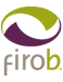 FIRO-B 組織解釋報告中文（繁體）在線